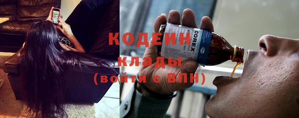 прущие грибы Волосово