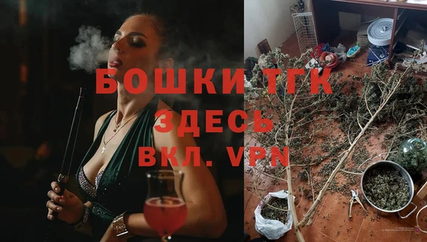 прущие грибы Волосово
