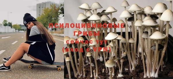 прущие грибы Волосово