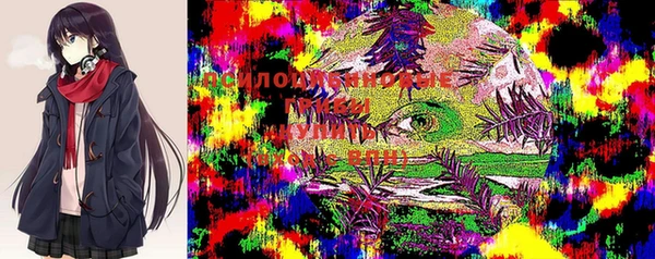 МДМА Сясьстрой