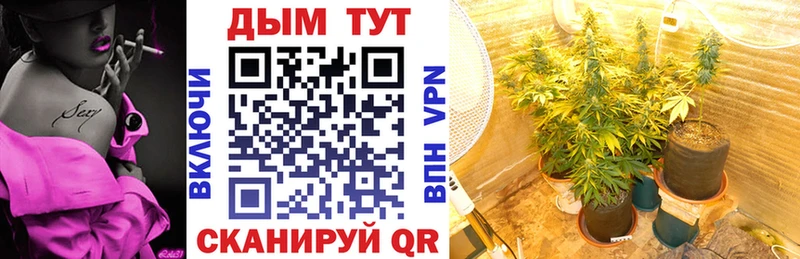 МАРИХУАНА план  продажа наркотиков  Партизанск 
